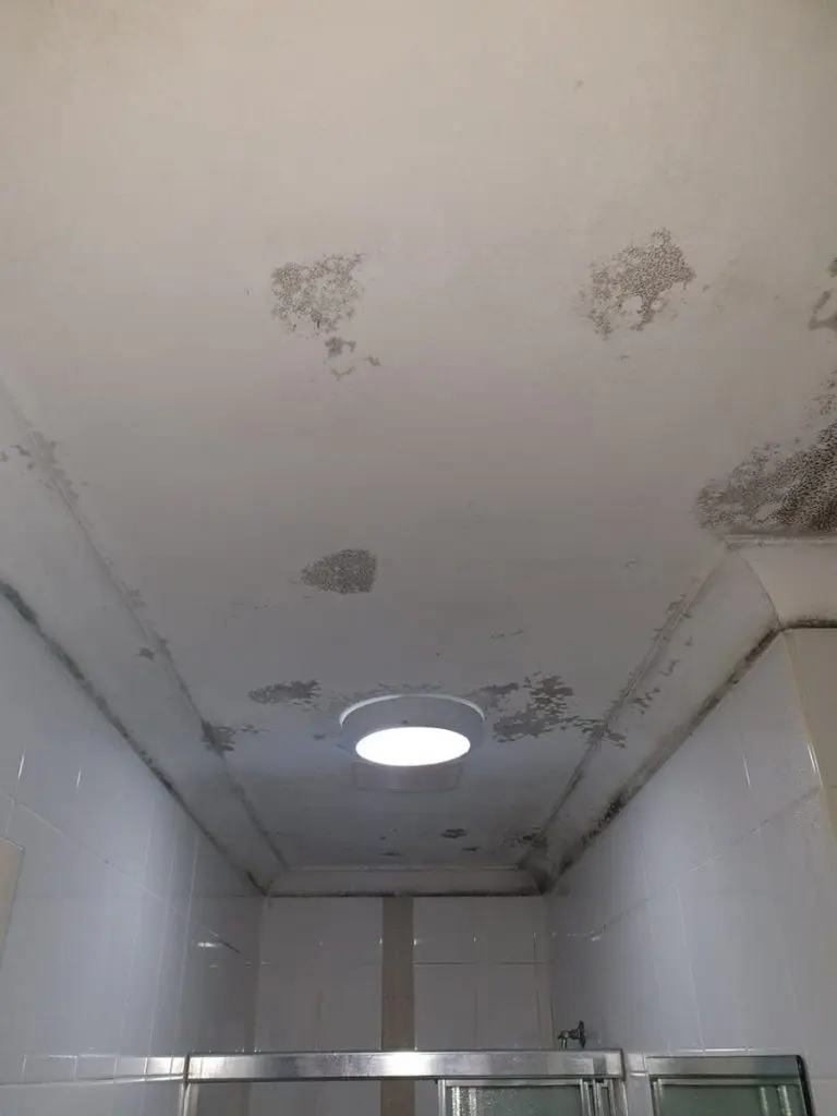 Bathroom-Ceiling-Before-768×1024