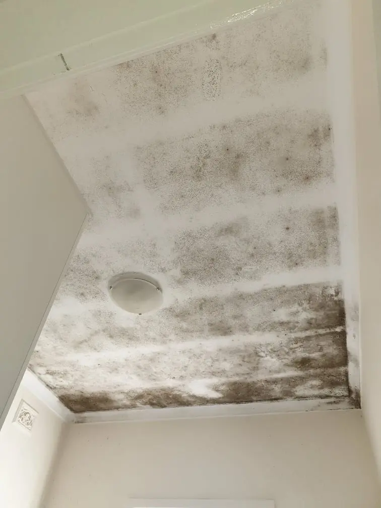 Bedroom-Ceiling-Before